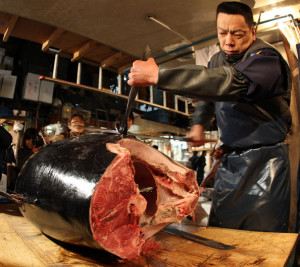 Bertandang Ke Tsukiji Fish Market Bagi penggemar ikan maritim rasanya belum pas jika berkesempatan berkunjung ke Jepang Bertandang Ke Tsukiji Fish Market