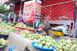 Srikaya dan Desa Panda di Kecamatan Belo Srikaya Primadona Desa Panda