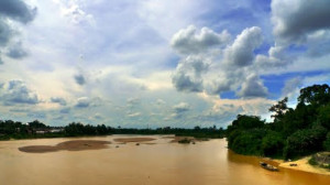 merupakan masa paling ditunggu oleh para pencari pemburu ikan botia Ikan Botia Di Sungai Batanghari