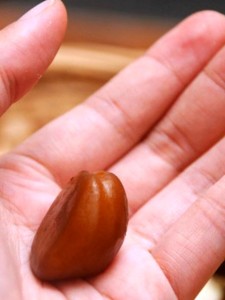 jauh lebih murah dan cepat ketimbang cara vegetatif dengan mengambil anakan Langkah Tanam Salak Dari Biji