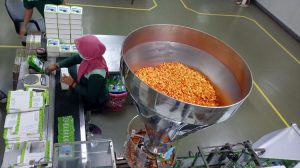 produsen benih hortikultura terbesar di tanahair dikala ini menginjak usia ke Anjangsana Bebeja Ke PT East West Indonesia