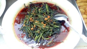 vegetarian1