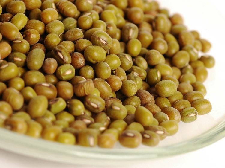 kacang hijau redam tukak lambung bebeja kacang hijau redam tukak lambung bebeja