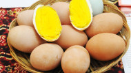 Kuning Telur Burung Mamoa 69%
