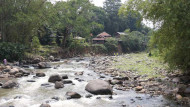 Tebar Ikan Sungai Ciliwung