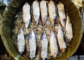 Tergoda Ikan Cue Tongkol