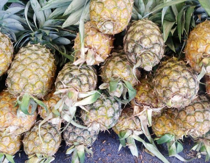 buah nanas buah nanas