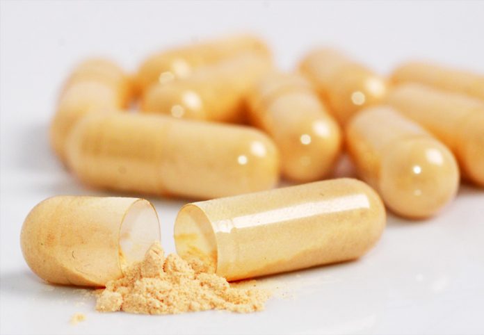 ekstrak daun sukun kapsul daun sukun