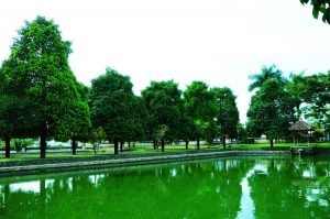 taman bidodari