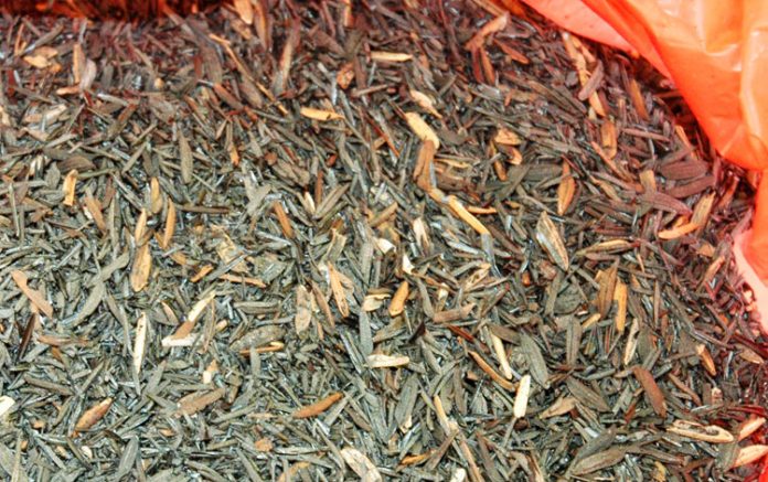 media tanam organik media tanam