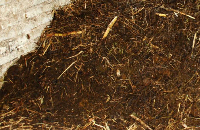 media tanam organik media tanam organik