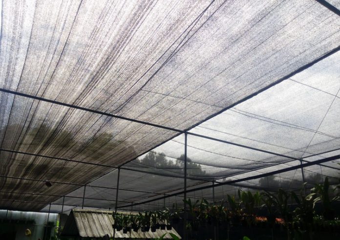 rak dan naungan anggrek naungan anggrek