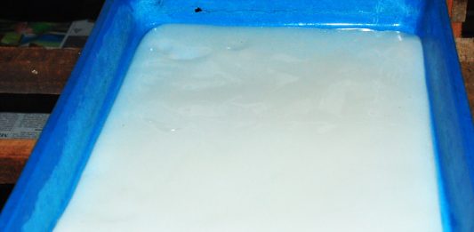 nata de soya