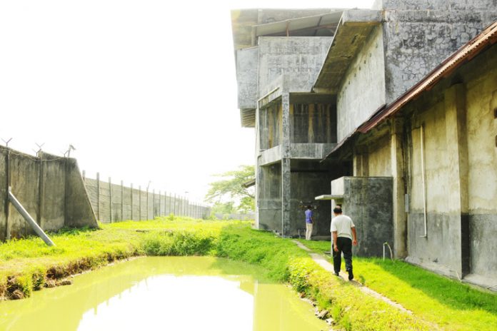 bangunan walet rumah walet