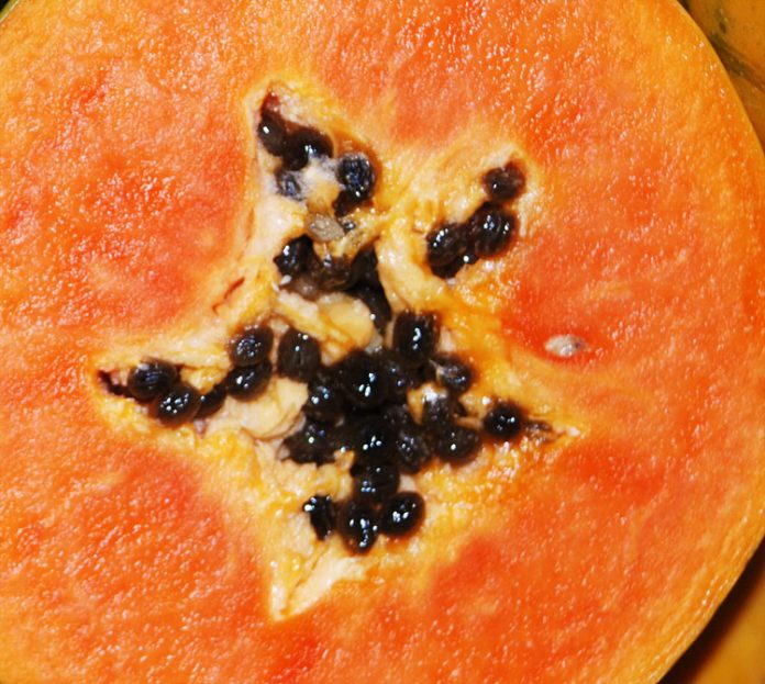 buah pepaya