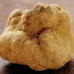 white-truffle