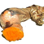 rimpang temulawak