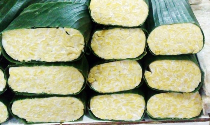tempe obat awet muda tempe