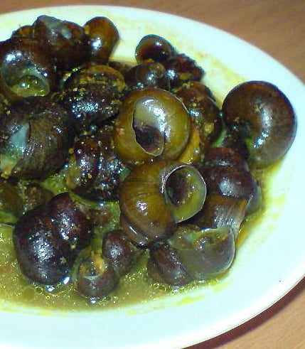 keong tutut keong tutut