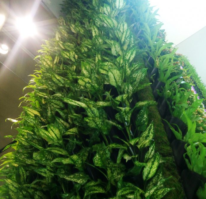 gaya taman vertikal taman vertikal