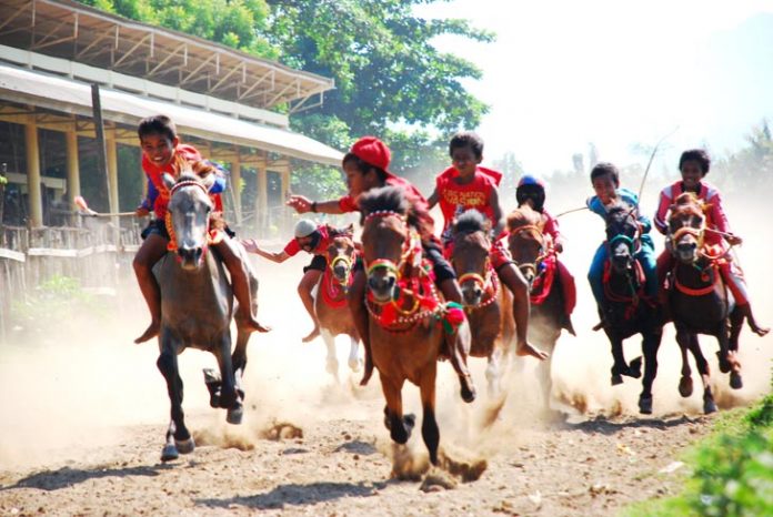 joki pacuan kuda pacuan kuda