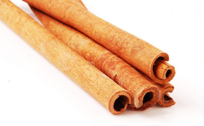 kayu manis kayu manis