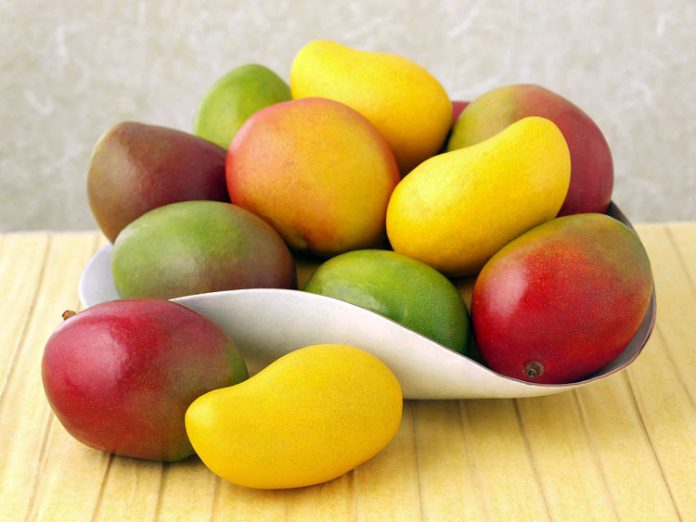 buah mangga