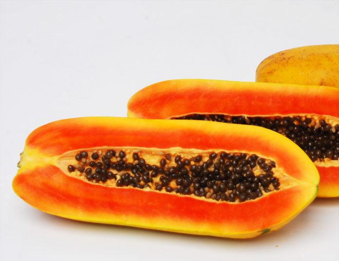 pepaya