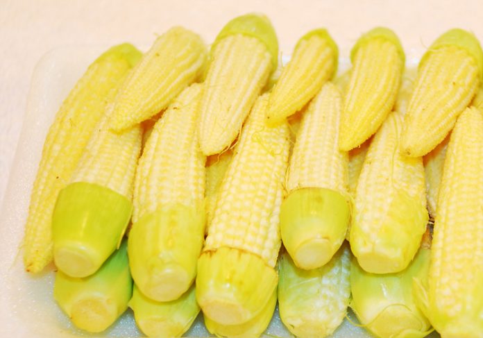 baby corn