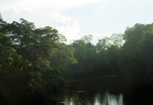 Kuswata Kartawinata Ekosistem Indonesia ekosistem alami indonesia