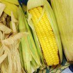 Pakan Ternak Kulit Jagung