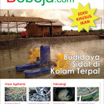Majalah Bebeja.com Volume 2