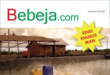 Majalah Bebeja.com Volume 2 majalah bebeja.com