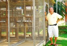 Vichai Pinyawat The Legend of Birds Vichai Pinyawat