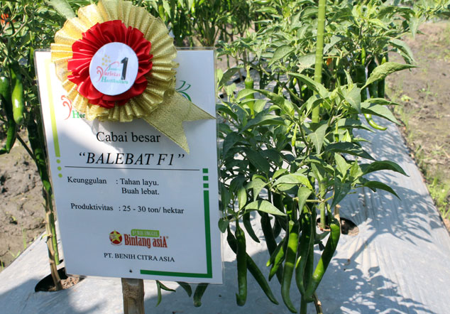 penas xiv ktna penas xiv ktna