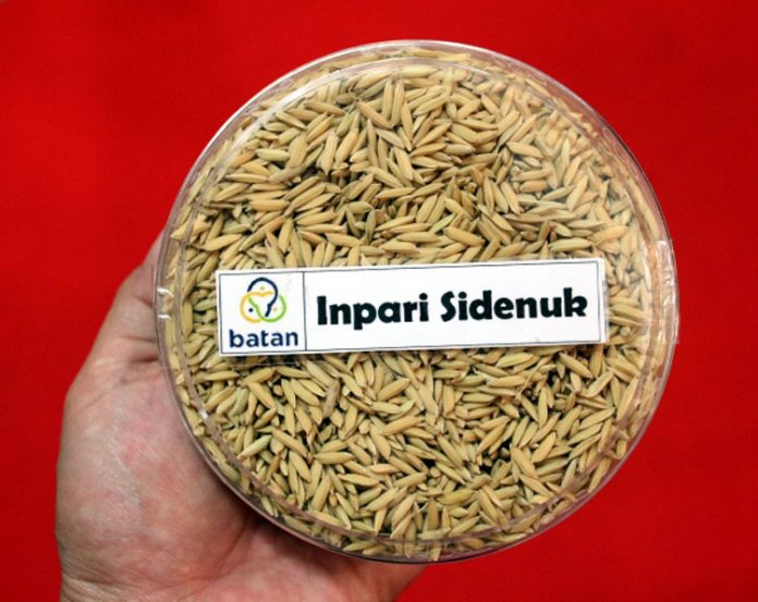 inpari sidenuk