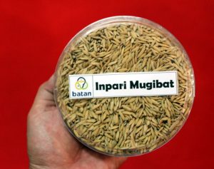 inpari mugibat