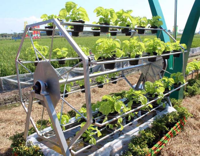 hidroponik hidroponik