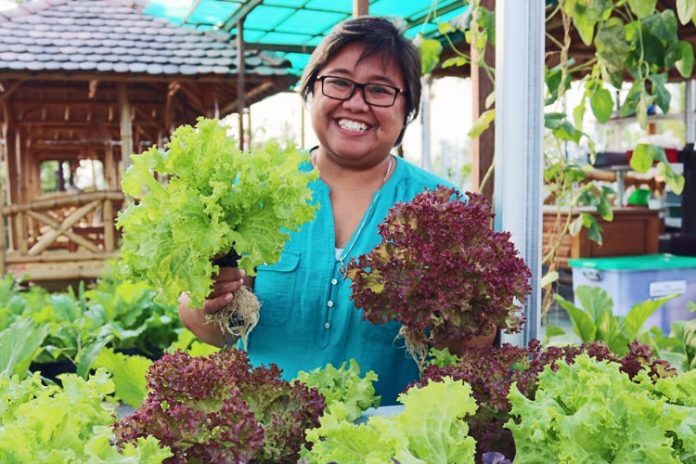 bertha suranto