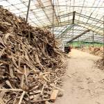 pelet-kayu2