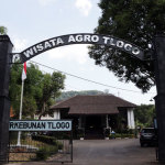 tlogo2