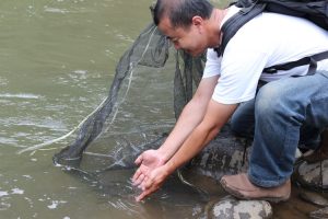 sungai ciliwung