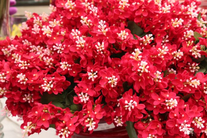 bunga plastik bunga plastik