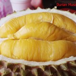 Durian Unggul Negeri Jiran