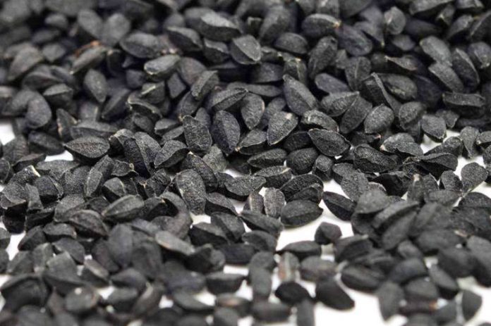 jintan hitam jintan hitam