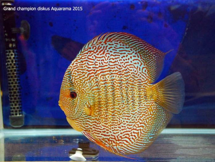 aquarama 2015 aquarama 2015