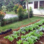 Bebeja Berkebun