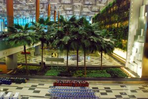 changi3