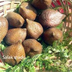 Salak Terbaik Indonesia