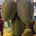 Durian Kholil Di Durian Fair 2016